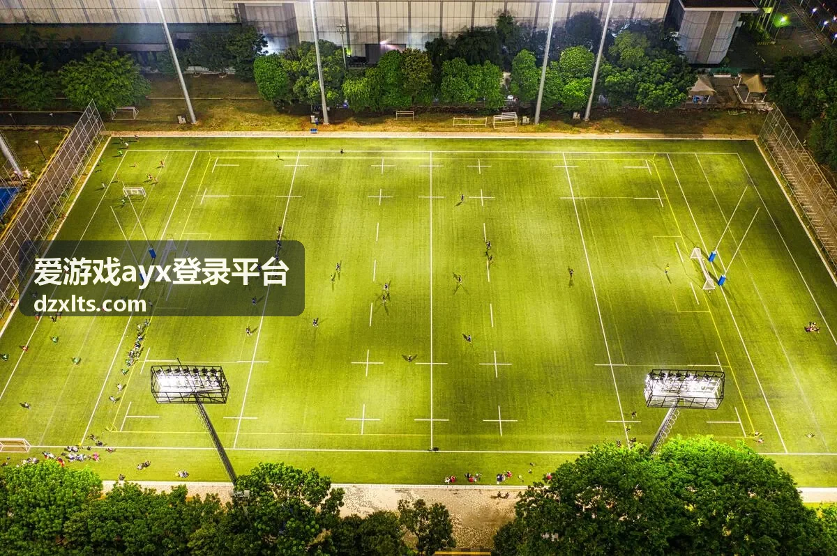爱游戏ayx登录平台相关内容封面图