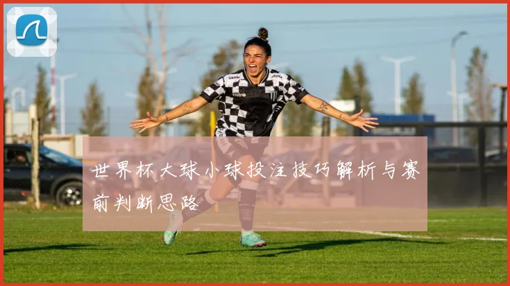 世界杯大球小球投注技巧解析与赛前判断思路
