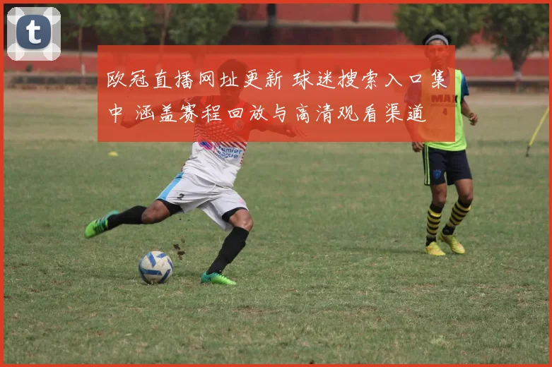 欧冠直播网址更新 球迷搜索入口集中 涵盖赛程回放与高清观看渠道