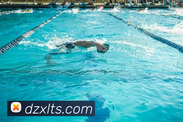 必一运动中国官方网站平台生态图